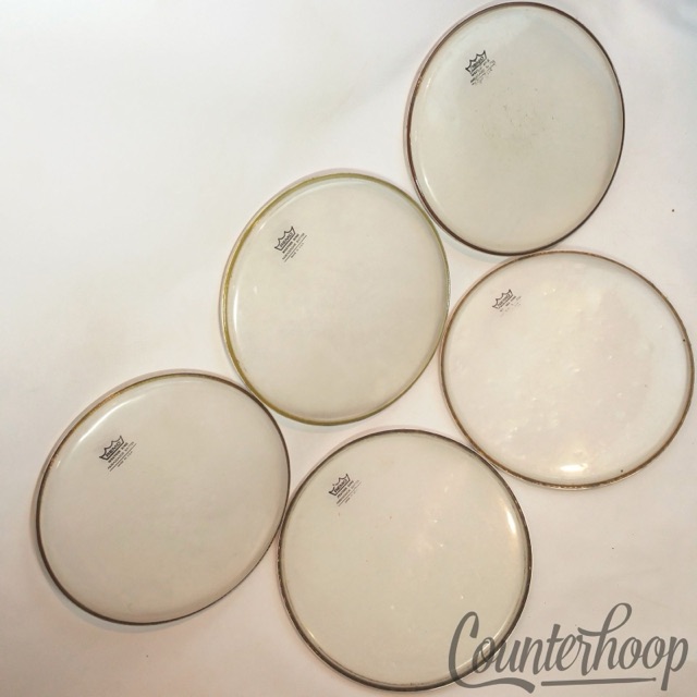 Remo 5x 12" Ambassador Tom Drum Heads Clear Batter/Resonant Weather King 1-Ply* — main photograph