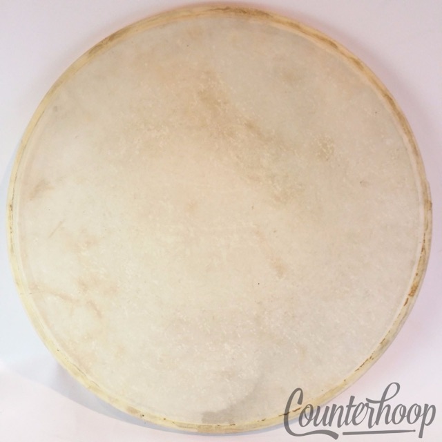 ?*Ludwig 13" Calf Skin Tom/Snare Drum Head Calfskin Batter Side Vintage 30s-40s* — main photograph
