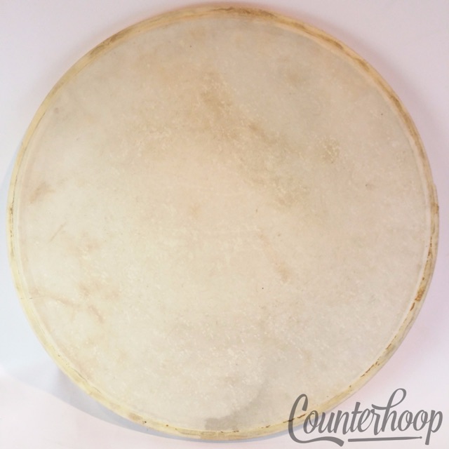?*Ludwig 13" Calf Skin Tom/Snare Drum Head Calfskin Batter Side Vintage 30s-40s* — main photograph