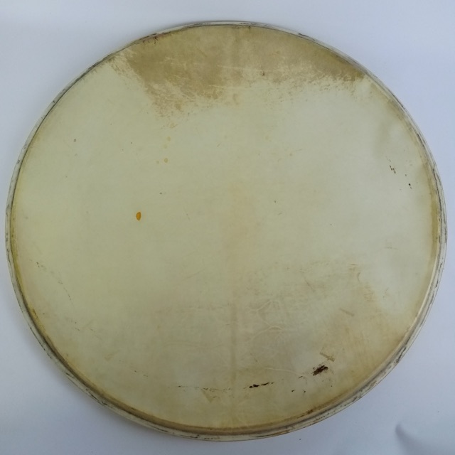 Ludwig / Leedy 22" Bass Drum Calfskin Head Vintage 40s - 50s Batter/Resonant USA — main photograph