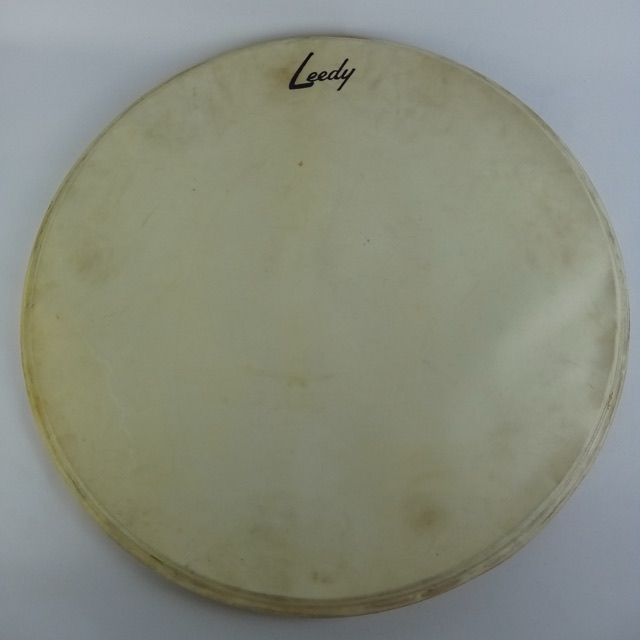 Leedy 22"Calfskin Resonant Logo Bass Drum Head Slingerland Vintage 50s EXCELLENT — main photograph