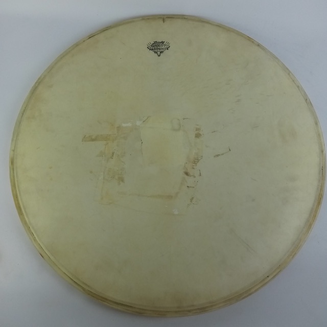 Leedy "Superior Hardwhite" Calfskin 22"Bass Drum Head Vintage 30s-40s Batter USA — main photograph