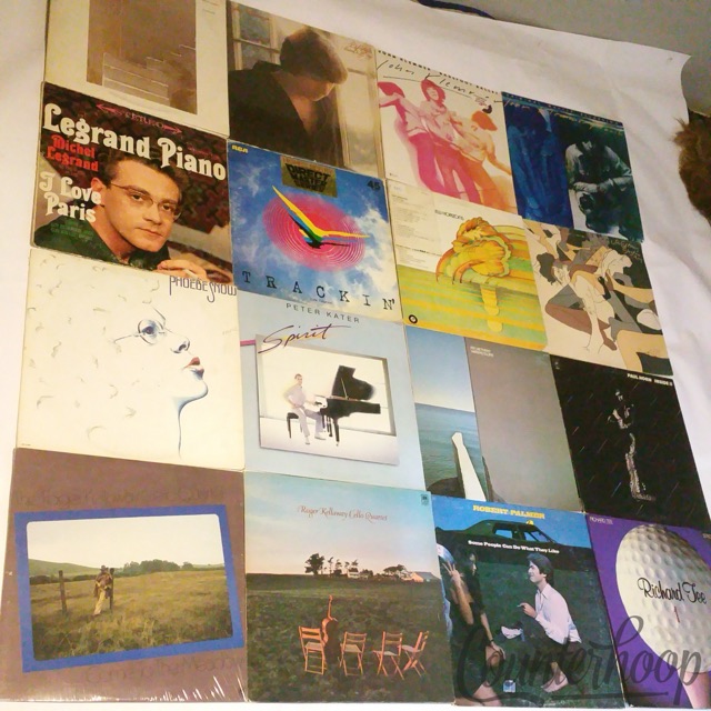 16LP Collection Pat Metheny,Robert Palmer,Richard Tee,John Klemmer,Keith Jarrett — main photograph