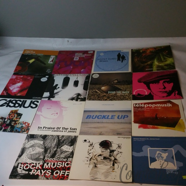 15x House12+Cover Art:Cassius,Bomb The Bass,Agent Sumo,Greens Keepers-James Curd — main photograph