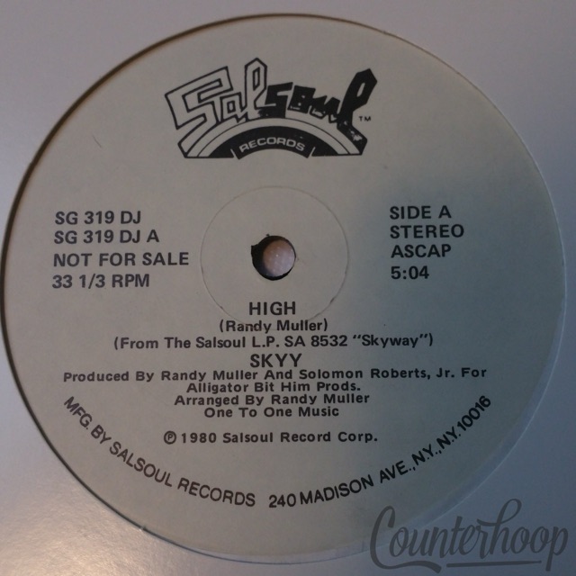 Skyy – High 1980 Promo 12" Disco Salsoul Records – SG 319 DJ VG++ — main photograph