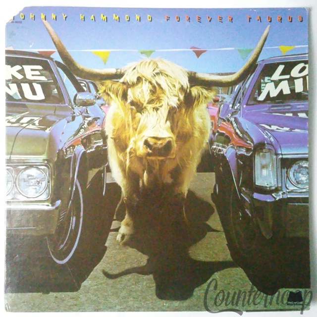 Johnny Hammond-Forever Taurus 1976EXC Milestone-M9068 Bill Summers/Dorothy Ashby — main photograph
