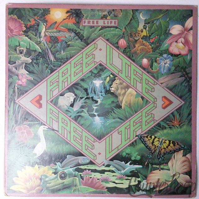 Free Life- S/T VG+ 1978 Epic-Paulinho da Costa/Philip Bailey/Patrice Rushen/Dunn — main photograph
